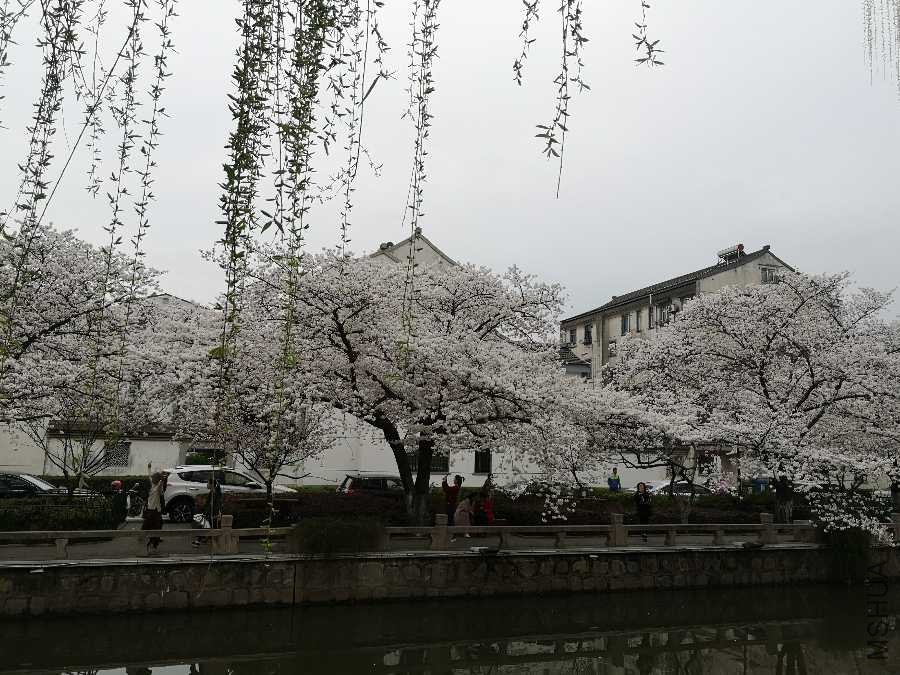 IMG_20190327_164123.jpg