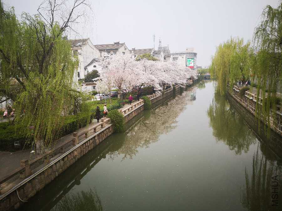 IMG_20190327_163924.jpg