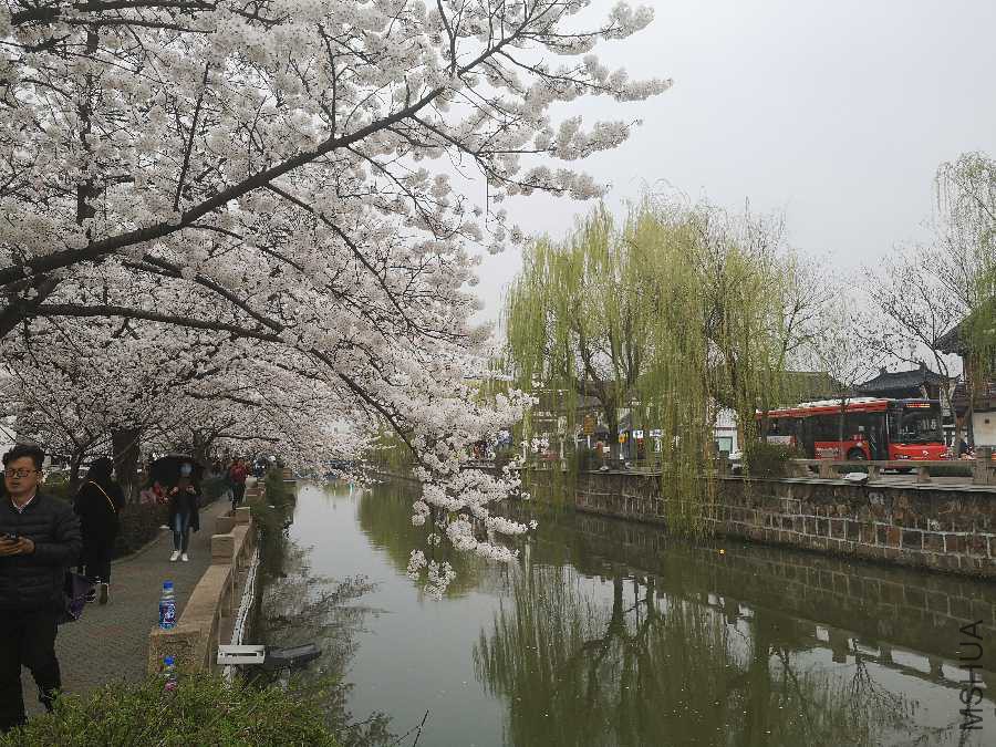 IMG_20190327_163801.jpg