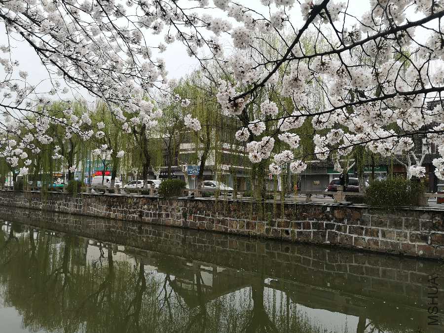 IMG_20190327_162856.jpg