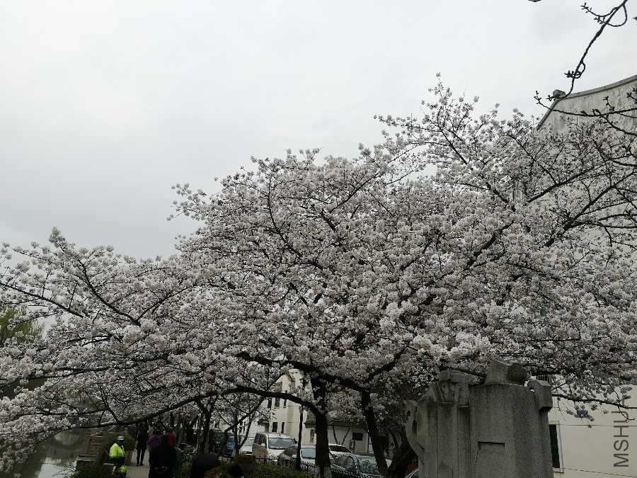 IMG_20190327_162802.jpg