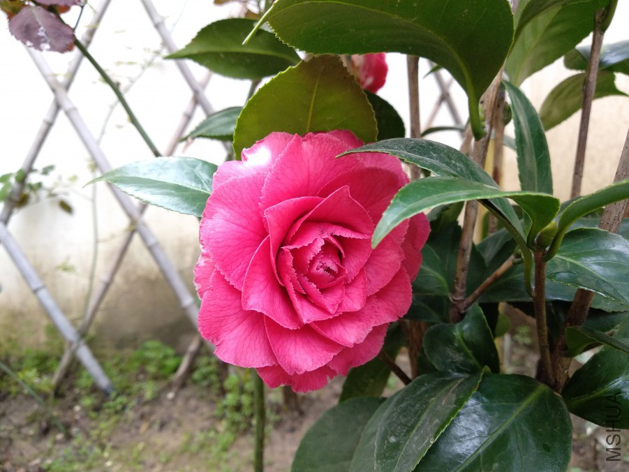 IMG_20190328_080538.jpg