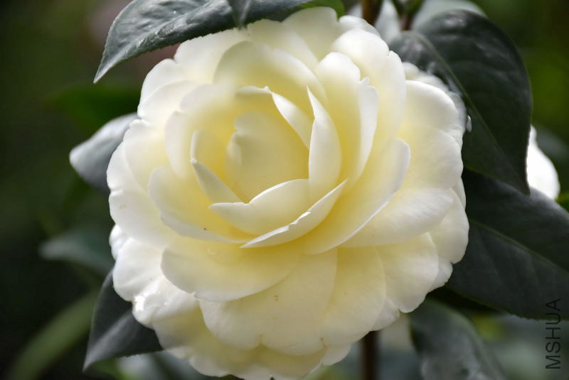 DSC_01540154.JPG