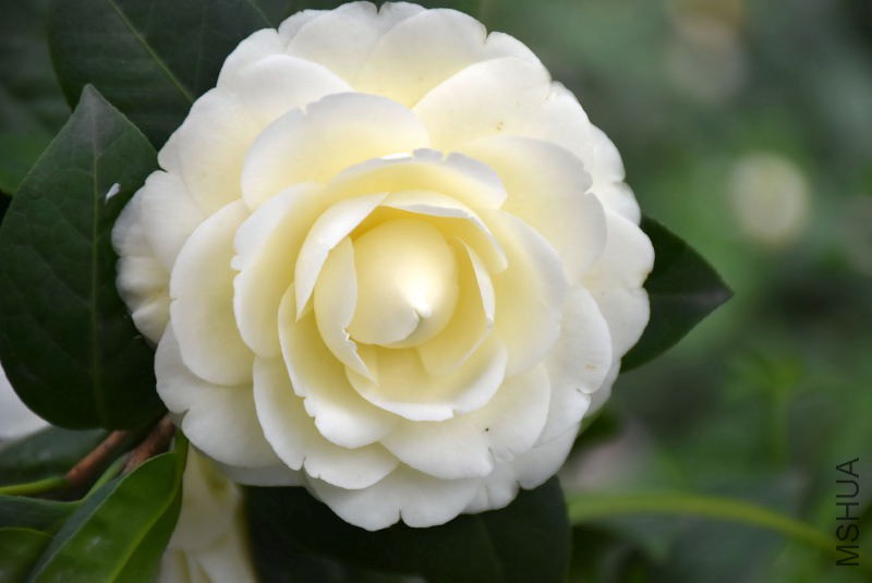 DSC_01760176.JPG