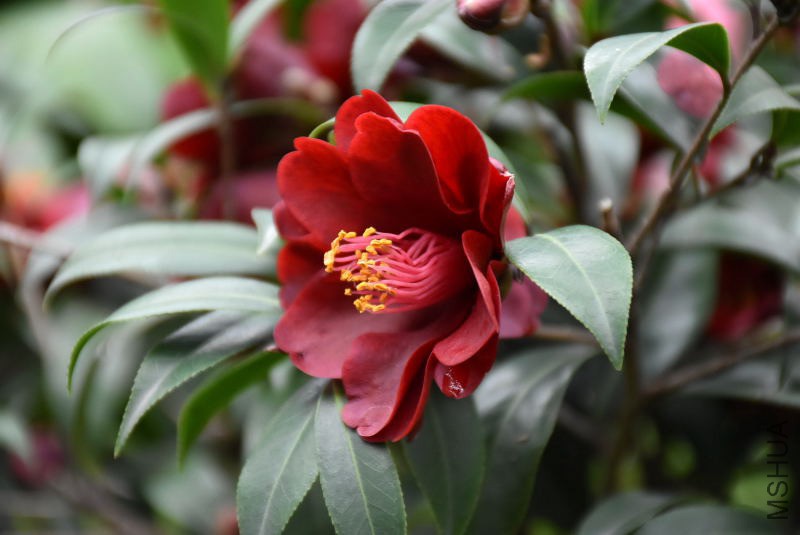 DSC_02720272.JPG