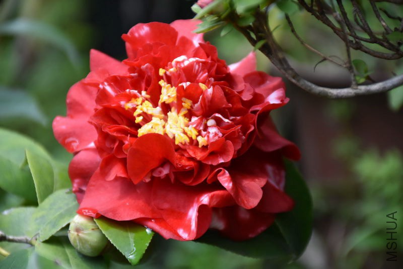 DSC_01160116.JPG