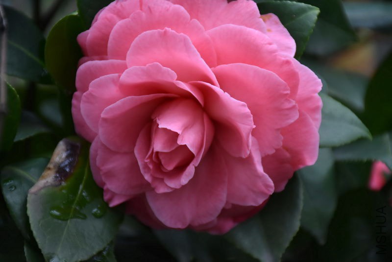 DSC_02460246.JPG