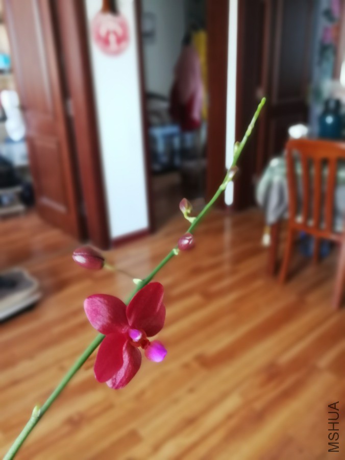 IMG_20190316_160705.jpg