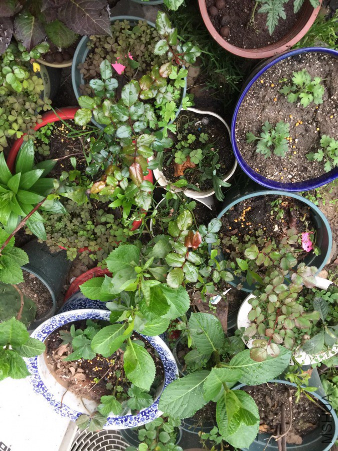 ΢��ͼƬ_20190329082108.jpg