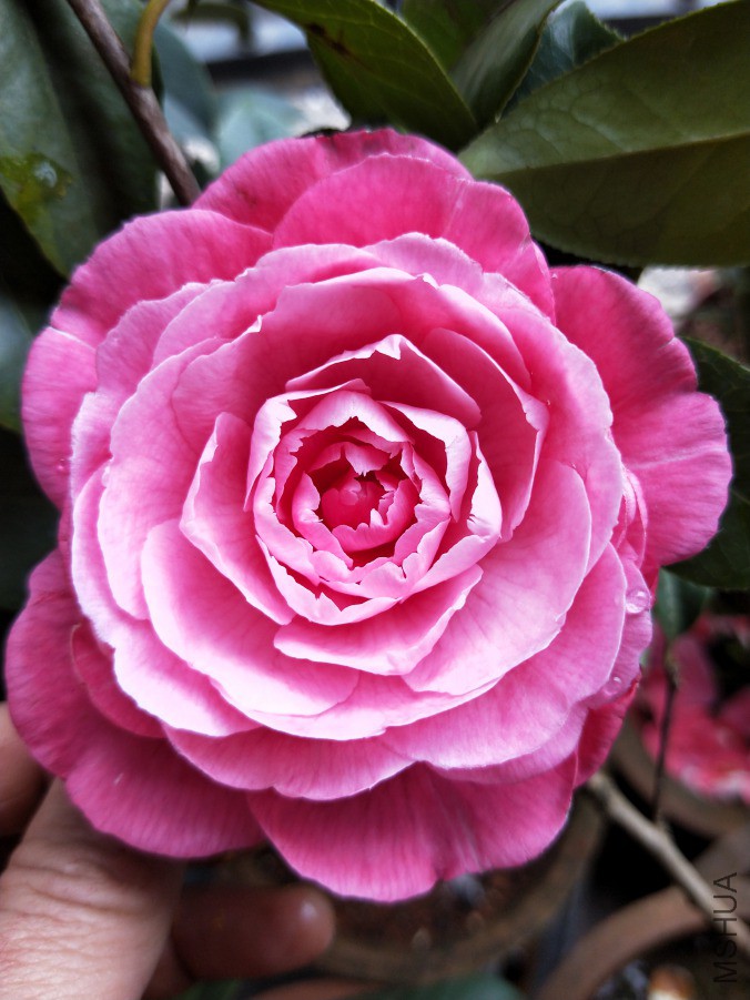IMG20190330095105.jpg