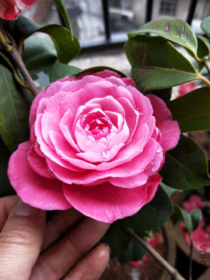 IMG20190330095108.jpg