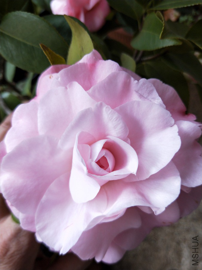 IMG20190330095135.jpg