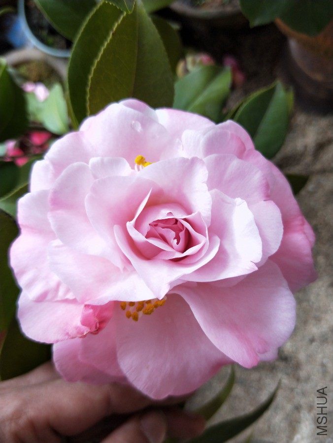 IMG20190330095143.jpg