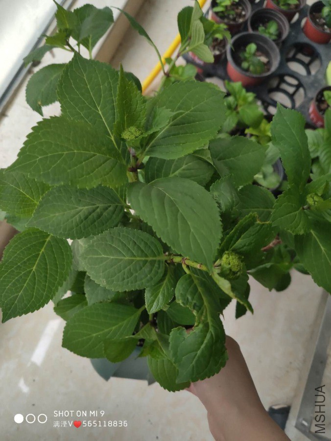 ΢��ͼƬ_20190330171139.jpg