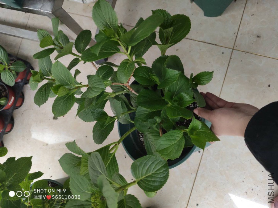 ΢��ͼƬ_20190330171148.jpg