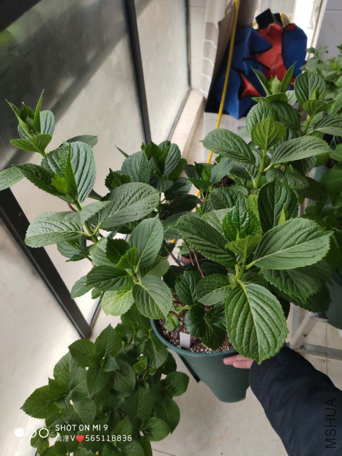 ΢��ͼƬ_20190330171145.jpg