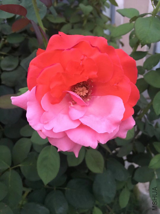 DBKD1089.jpg