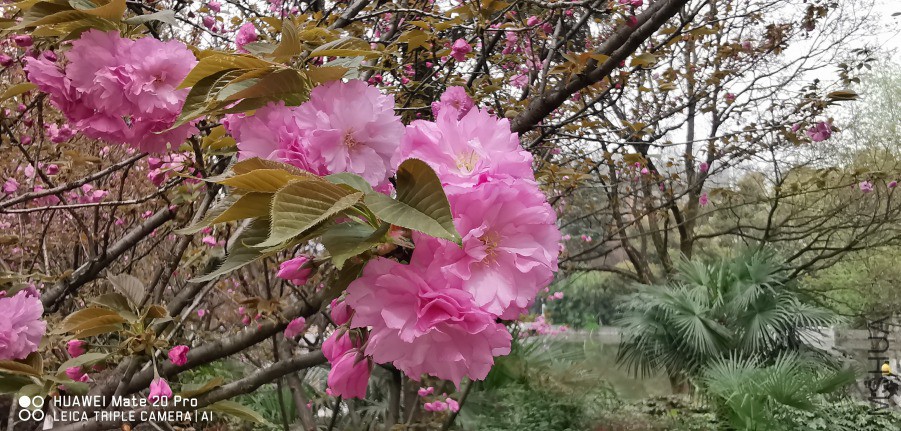 IMG_20190329_130748.jpg