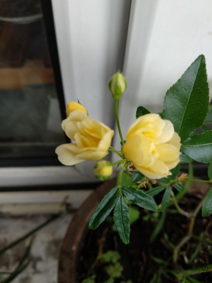 ΢��ͼƬ_20190331133106.jpg