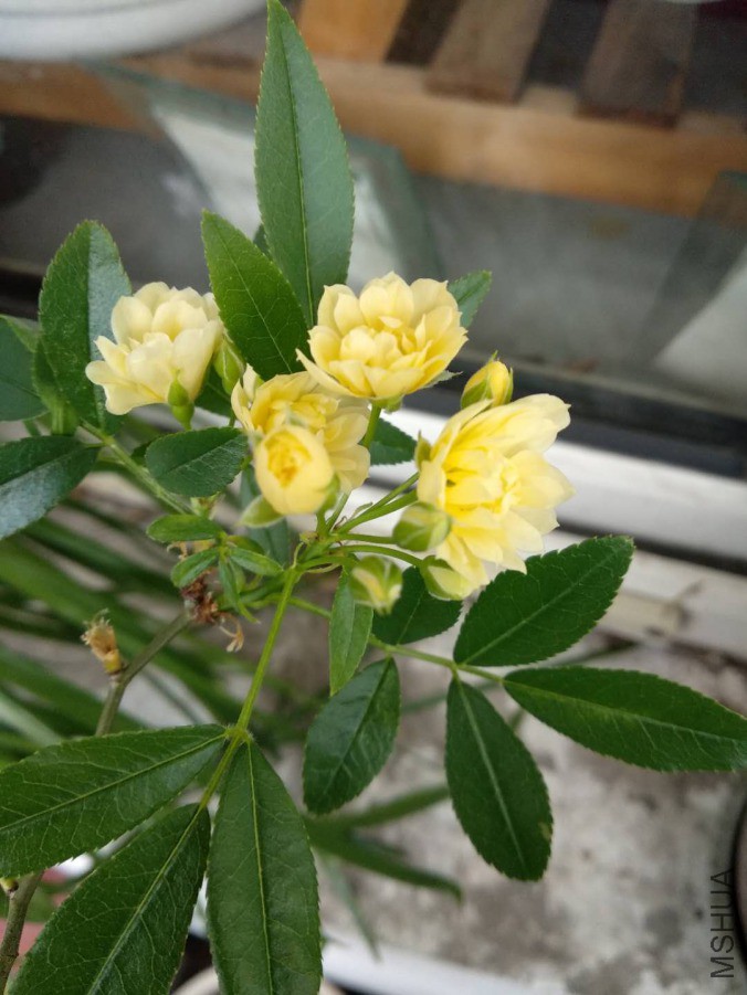 ΢��ͼƬ_20190331133103.jpg