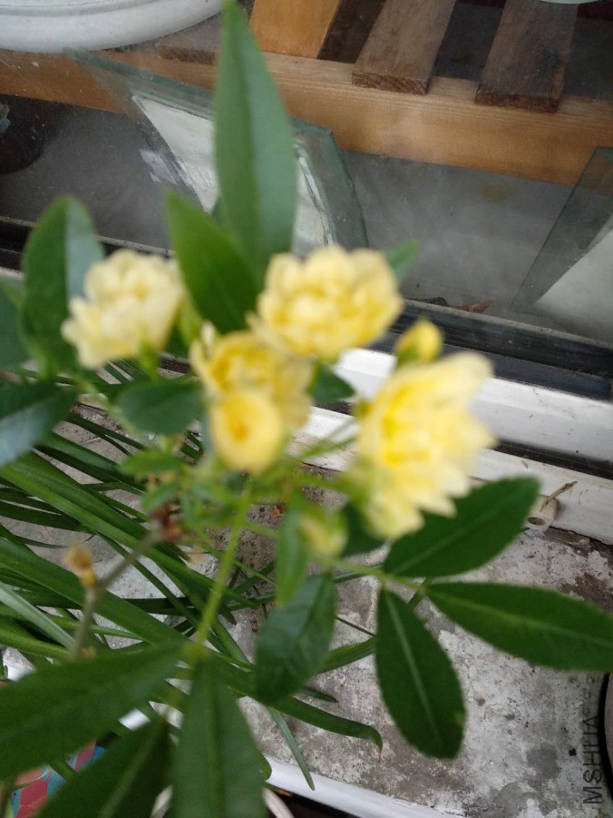 ΢��ͼƬ_20190331133057.jpg
