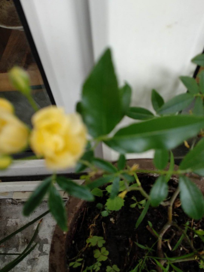΢��ͼƬ_20190331133047.jpg