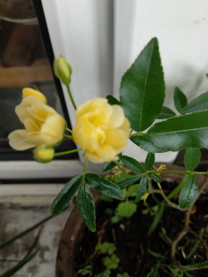 ΢��ͼƬ_20190331133043.jpg