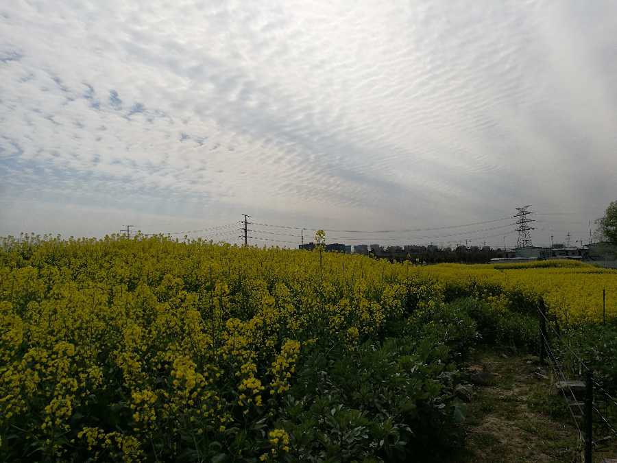 IMG_20190331_142505.jpg