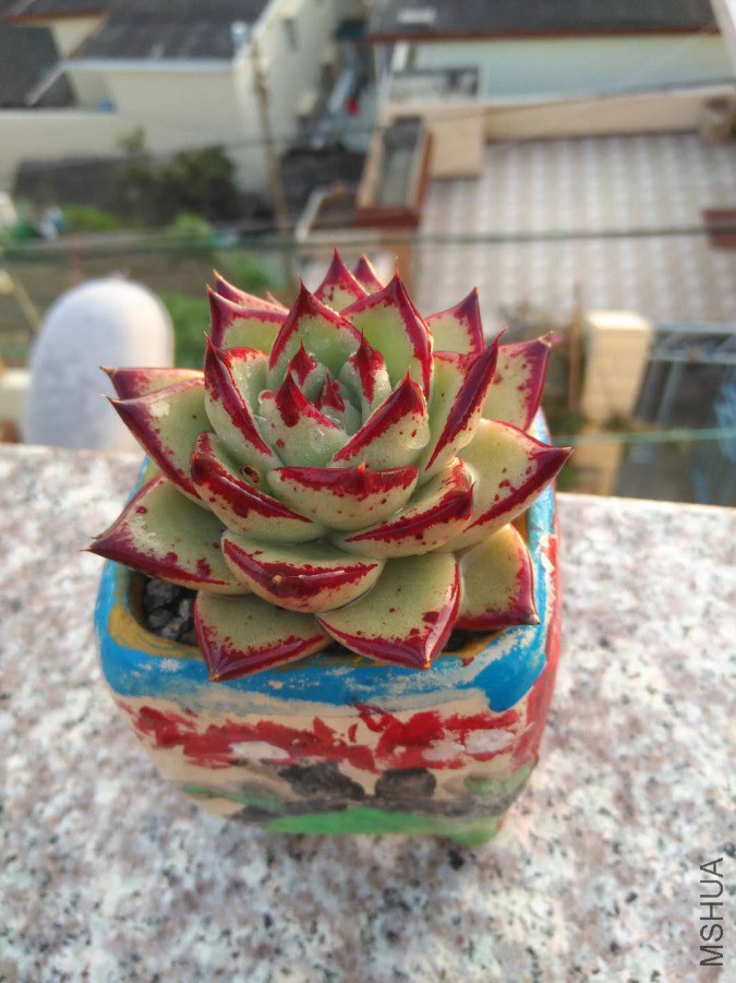 �Լ����ģ�2����ˣ��Ƚ���ͨ