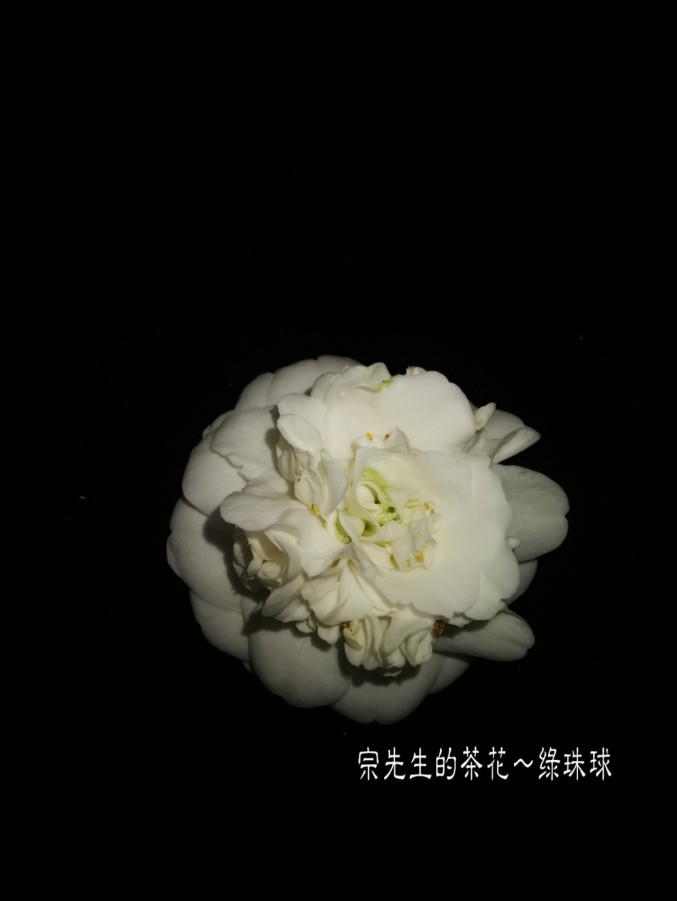 a1552566820851.jpg