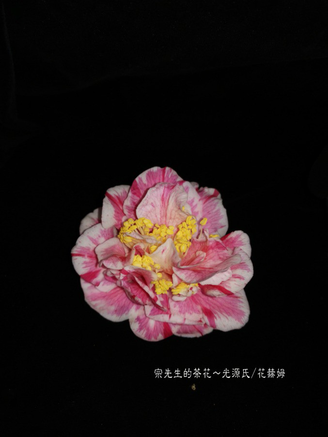 a1552566909898.jpg