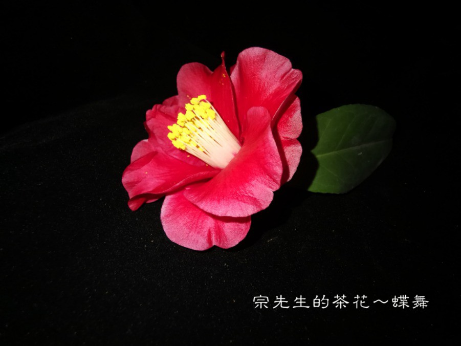 a1552567037514.jpg