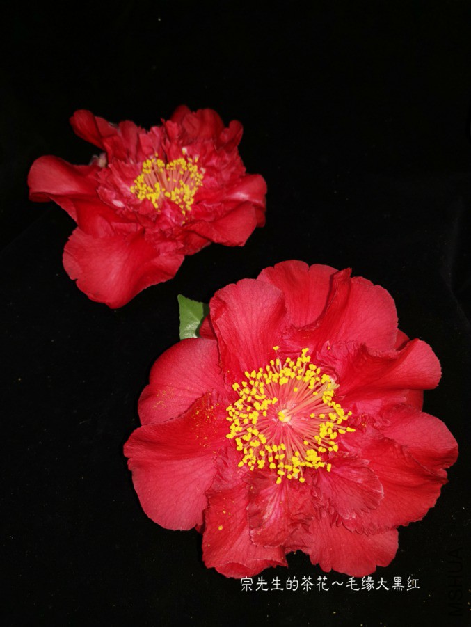 a1552567161299.jpg