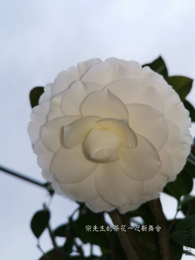 a1552567631651.jpg