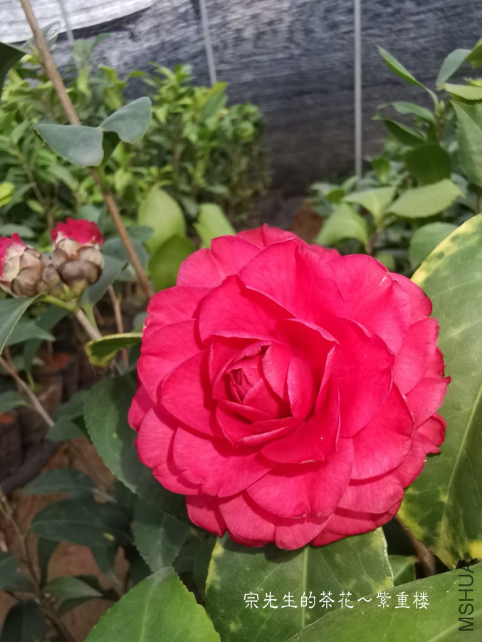 a1552567752147.jpg