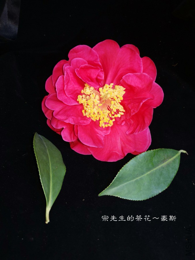 a1552568434570.jpg