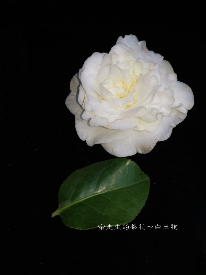 a1552568460627.jpg