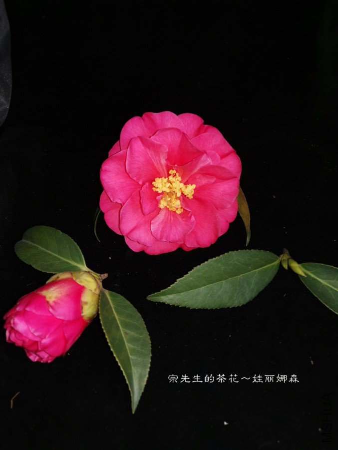 a1552568556789.jpg