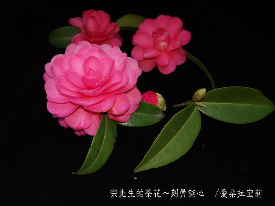 a1552568672599.jpg