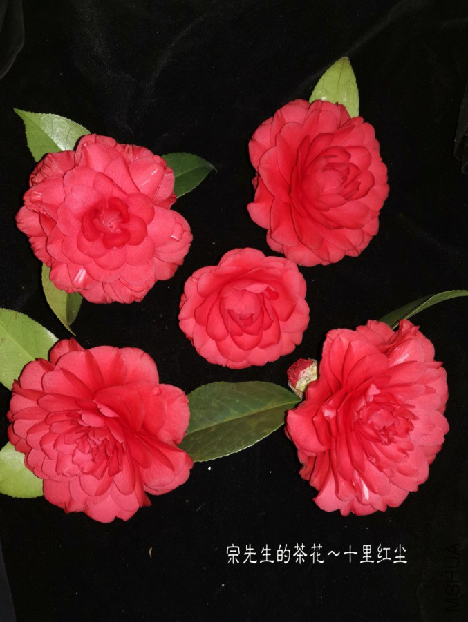 a1552569426094.jpg