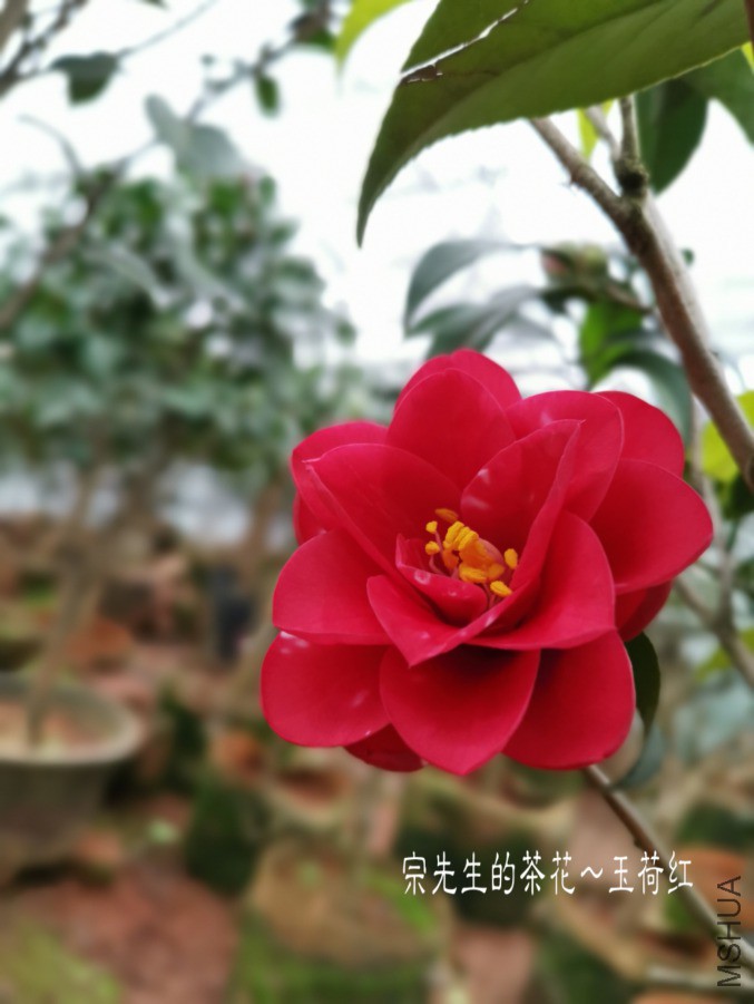 a1552569945376.jpg