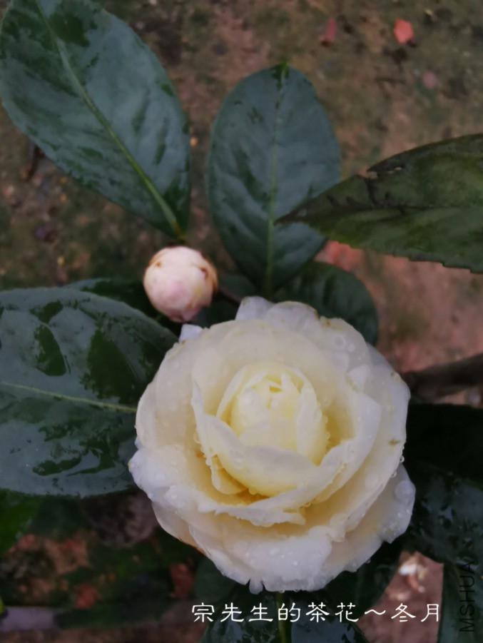 �½��ļ���a1552570148978.jpg