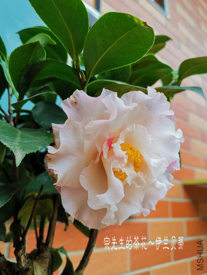 �½��ļ���a1552570475204.jpg