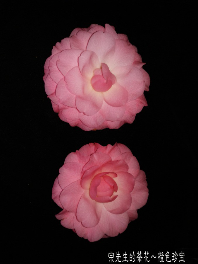 �½��ļ���a1552570509361.jpg
