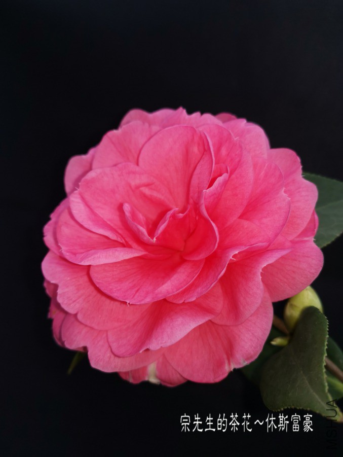 �½��ļ���a1552570544547.jpg