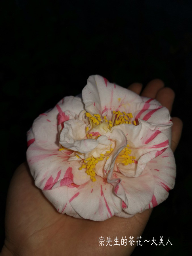 �½��ļ���a1552828142058.jpg