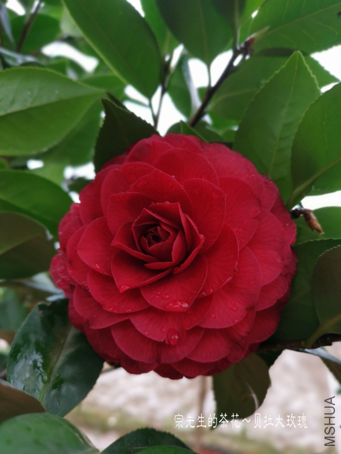 �½��ļ���a1554037073914.jpg
