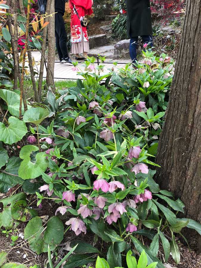 59F6D08C-7E0B-4BCE-9007-8E817796B30C.jpeg