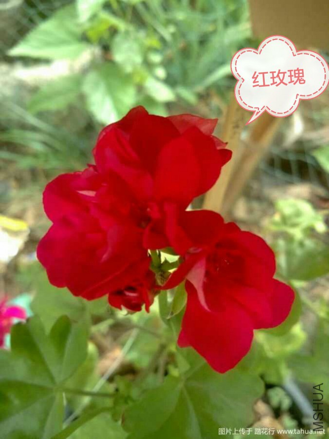 IMG_20190316_133607.jpg