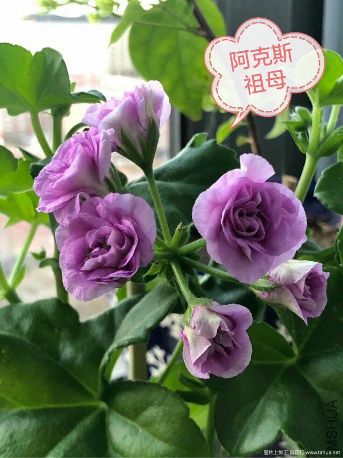 IMG_20190316_133539.jpg